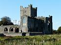Tintern Abbey - 003
